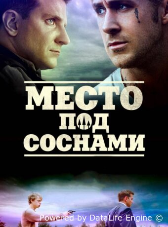 Место под соснами