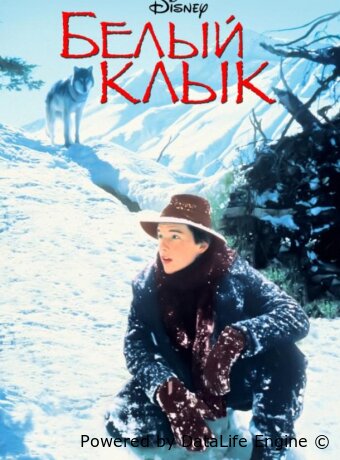 Белый клык