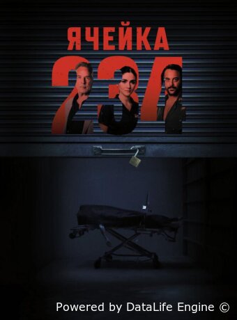Unit 234