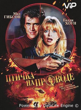 Птичка на проводе