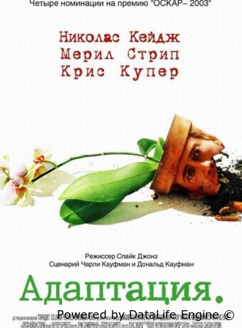 Адаптация