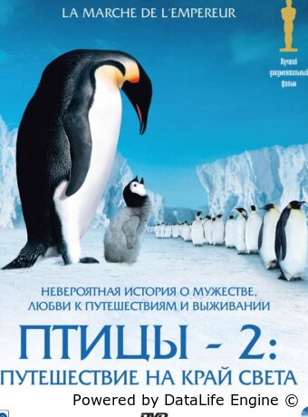 Птицы 2: Путешествие на край света