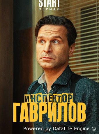 Инспектор Гаврилов